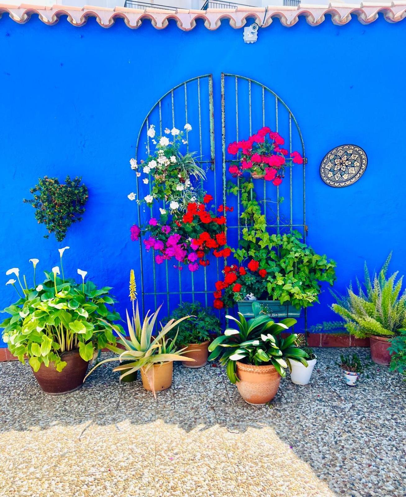 Hostal El Faro Чипиона Екстериор снимка