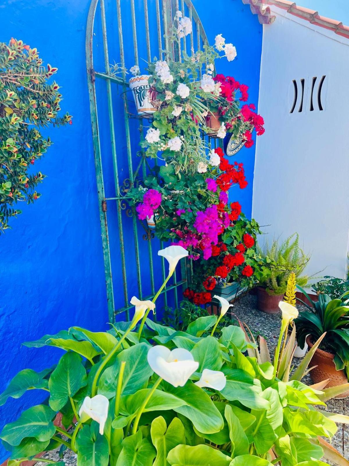 Hostal El Faro Чипиона Екстериор снимка